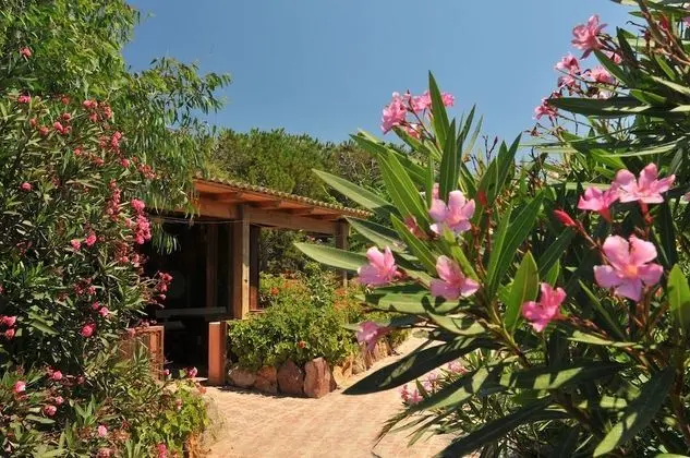 Dağ Evi, 2 Yatak Odası (Pet-Friendly - No WiFi)