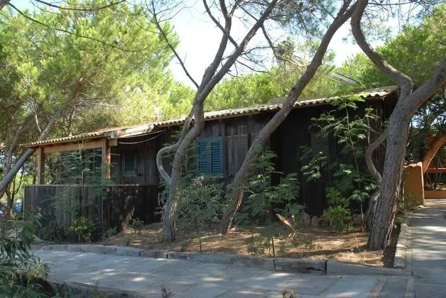 Dağ Evi, Küçük Mutfak (Pet-Friendly - No WiFi)
