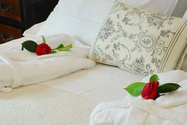 Basic Tek Kişilik Oda, Nehir Manzaralı