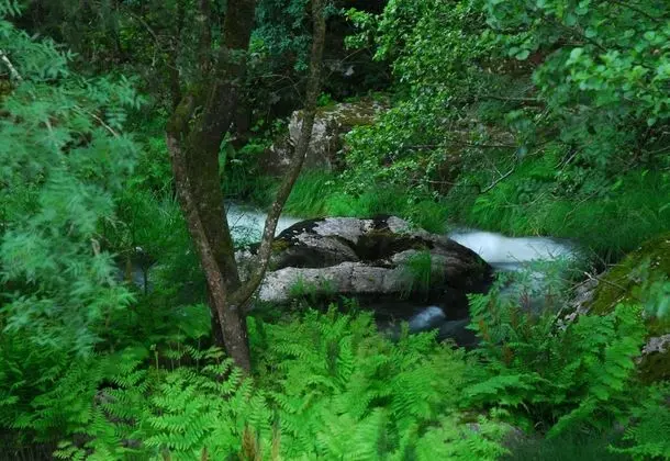 Basic Tek Kişilik Oda, Nehir Manzaralı