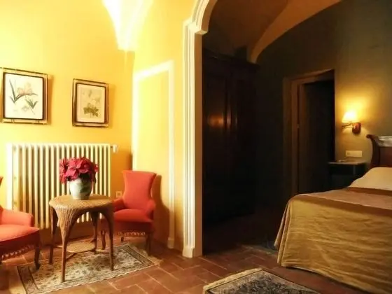 Superior Tek Büyük Yataklı Oda