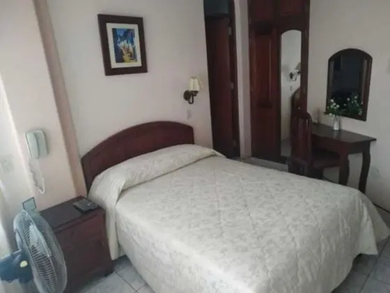 Standard Tek Kişilik Oda, 1 Çift Kişilik Yatak