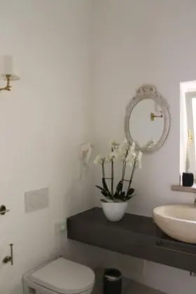 Superior Tek Büyük Yataklı Oda (Marilyn Monroe)