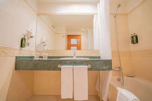 Tek Büyük Yataklı Oda (2 Adults)