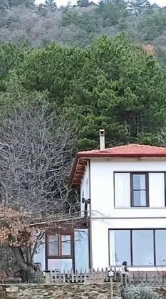 Oda