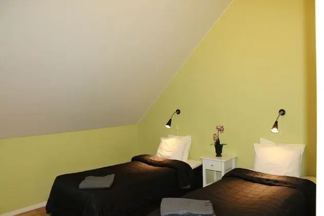 Süit