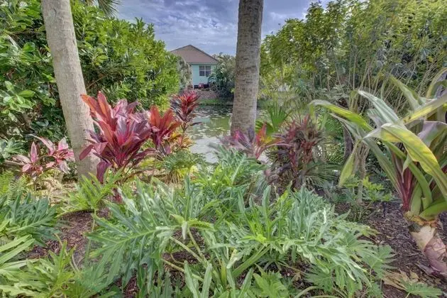Ev (Tortuga Pool Home)