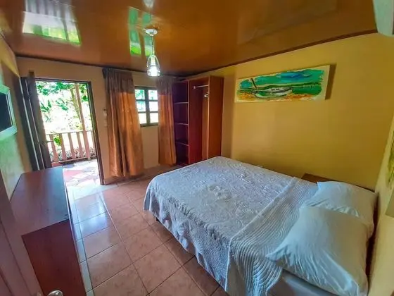 Comfort Tek Büyük Yataklı Oda, 1 Çift Kişilik Yatak, Veranda (With AC)