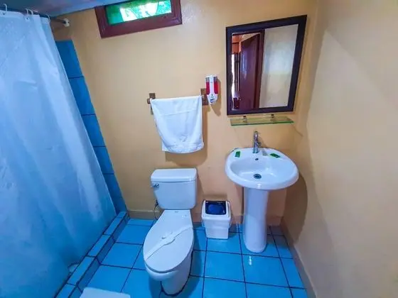 Comfort Tek Büyük Yataklı Oda, 1 Çift Kişilik Yatak, Veranda (With AC)