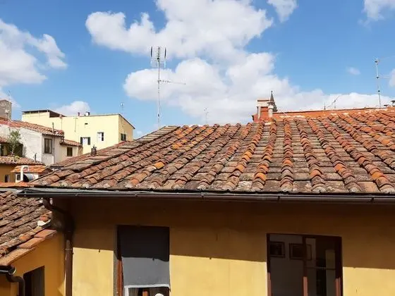 Deluxe Tek Büyük Yataklı Oda, Şehir Manzaralı (Piazza Pitti)