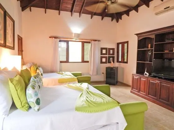 Villa, 1 En Büyük (King) Boy Yatak, Sigara İçilmez