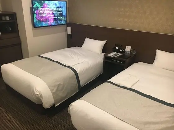 Deluxe İki Ayrı Yataklı Oda (C/OUT 10AM, breakfast charge for kids)