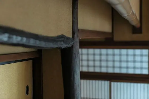 Traditional İki Ayrı Yataklı Oda, Bahçe Manzaralı (Japanese Style, TSUKI)