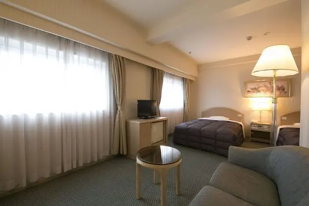 Deluxe İki Ayrı Yataklı Oda, Sigara İçilmez