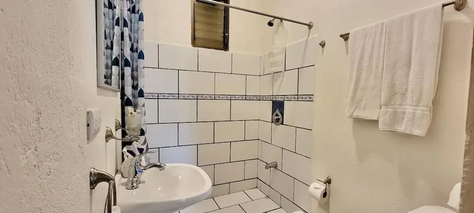 Ev