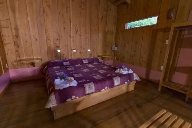 Junior Süit, 1 En Büyük (King) Boy Yatak, Bahçe Manzaralı