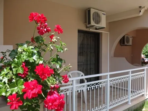 Standard Stüdyo, 1 Çift Kişilik veya 2 Tek Kişilik Yatak, Sigara İçilebilir