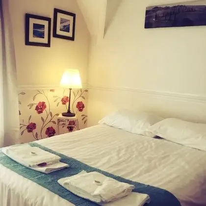 Tek Büyük Yataklı Oda, 1 Çift Kişilik Yatak