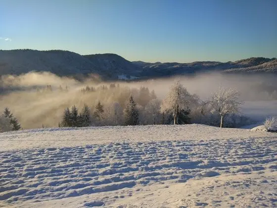 Family Dört Kişilik Oda, Banyolu/Duşlu