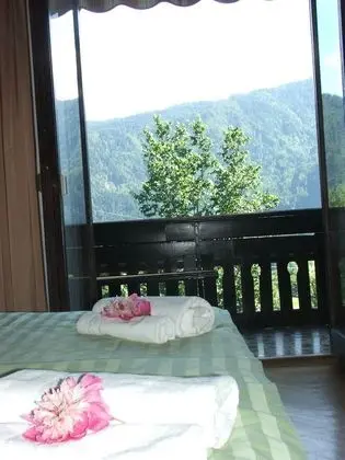 Basic Apart Daire, Dağ Manzaralı