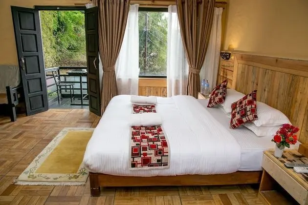 Deluxe Oda, 1 Yatak Odası, Şehir Manzaralı