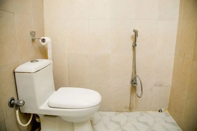 Deluxe Oda, 1 Yatak Odası, Şehir Manzaralı