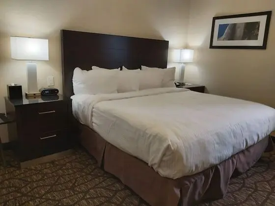 Resort King - Lobby Level, No View, One King Bed