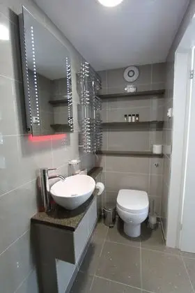 Tek Büyük Yataklı Oda, Banyolu/Duşlu (Versailles)