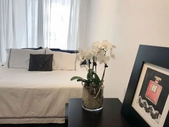 Deluxe Apart Daire, 2 Yatak Odası