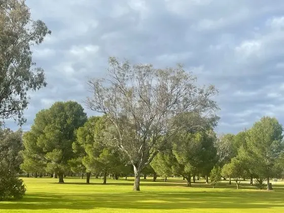 Deluxe Tek Büyük Yataklı Oda, Golf Manzaralı