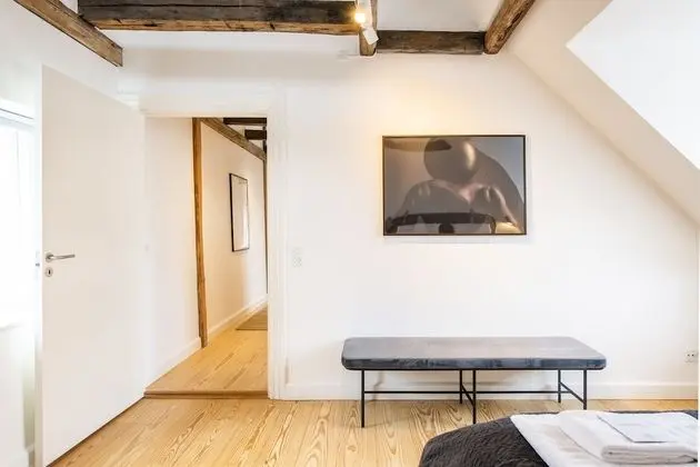 Superior Çatı Katı Süiti (Penthouse)