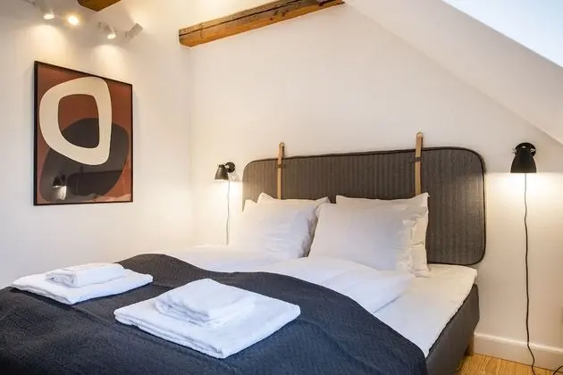 Superior Çatı Katı Süiti (Penthouse)