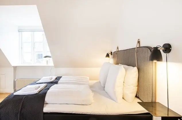 Superior Çatı Katı Süiti (Penthouse)