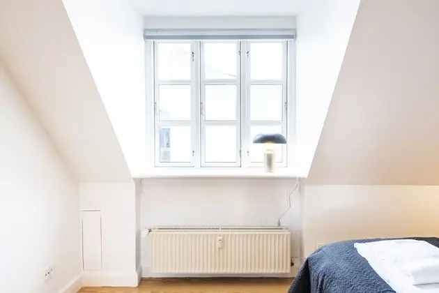 Superior Çatı Katı Süiti (Penthouse)