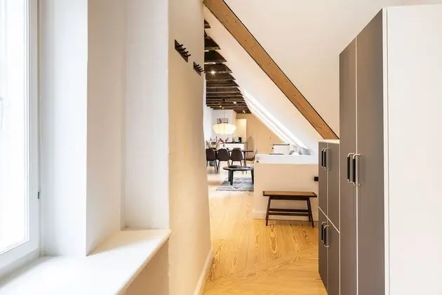 Superior Çatı Katı Süiti (Penthouse)