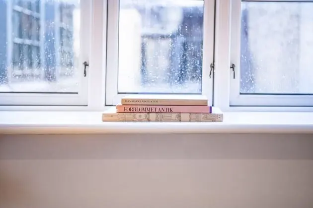 Superior Çatı Katı Süiti (Penthouse)