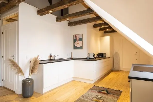 Superior Çatı Katı Süiti (Penthouse)