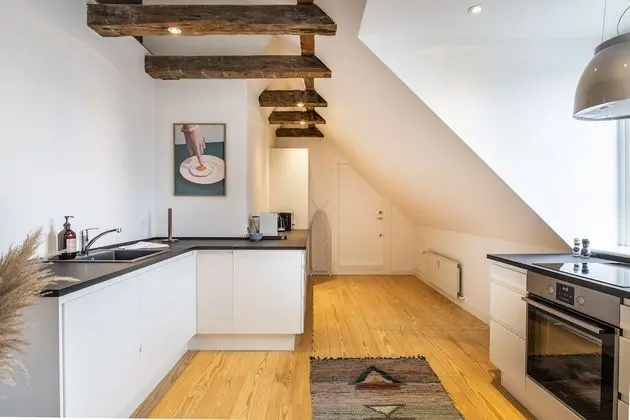 Superior Çatı Katı Süiti (Penthouse)