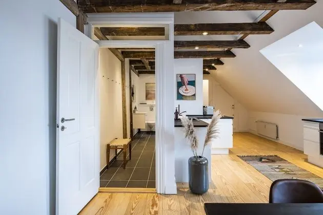 Superior Çatı Katı Süiti (Penthouse)