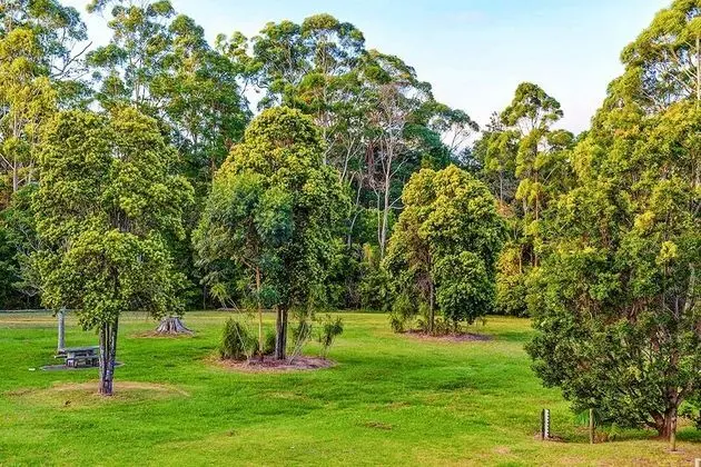 Family Oda, Birden Çok Yatak, Sigara İçilmez, Park Manzaralı