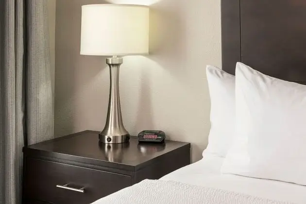 Stüdyo Süit, 1 En Büyük (King) Boy Yatak ve Çekyat