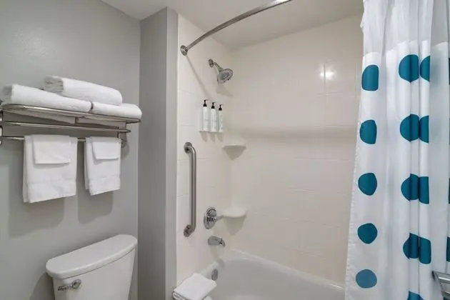 Stüdyo, 1 En Büyük (King) Boy Yatak ve Çekyat (Mobility Accessible, Tub)