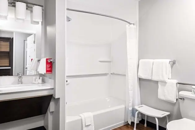 Stüdyo, 1 Büyük (Queen) Boy Yatak ve Çekyat (Mobility/Hearing Accessible, Tub)