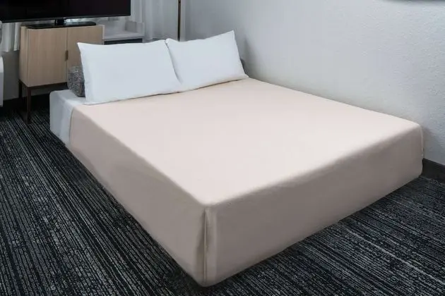 Superior Süit, 1 Büyük (Queen) Boy Yatak ve Çekyat (One Bedroom)