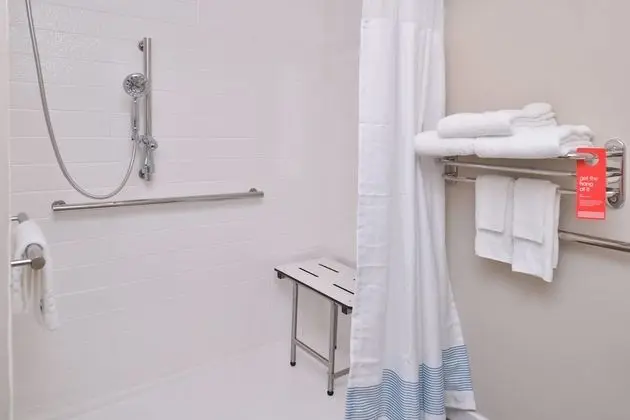 Stüdyo, 1 En Büyük (King) Boy Yatak ve Çekyat (Mobility Accessible, Roll-In Shower)