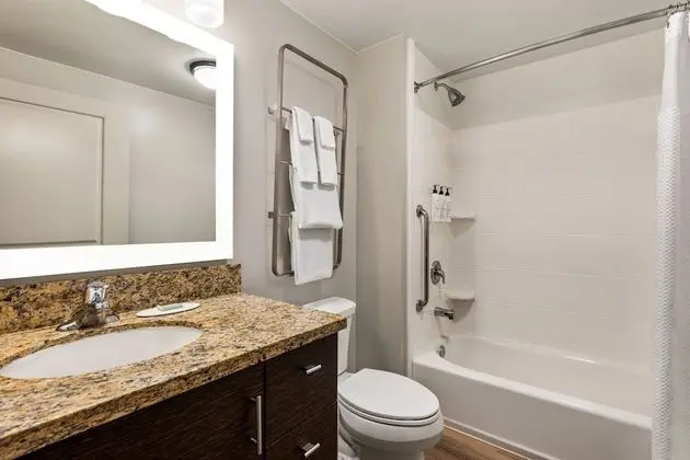 Stüdyo, 1 Büyük (Queen) Boy Yatak ve Çekyat, Sigara İçilebilir (Mobility/Hearing Accessible, Tub)