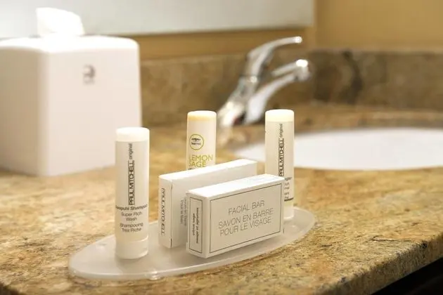 Süit, 1 Yatak Odası (Hearing Accessible)