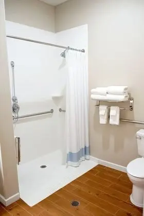 Stüdyo, 2 Büyük (Queen) Boy Yatak (Mobility Accessible, Roll-In Shower)