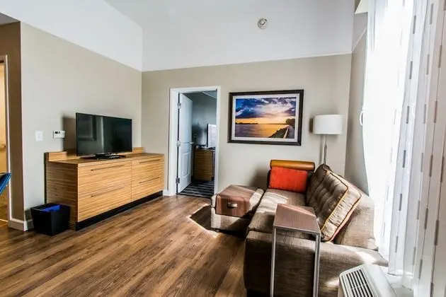 Süit, 1 Yatak Odası, Sigara İçilmez