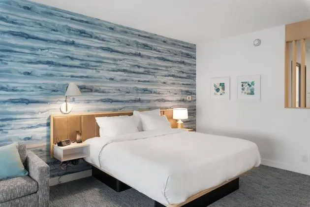 Stüdyo, 1 En Büyük (King) Boy Yatak ve Çekyat